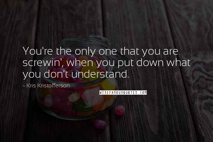 Kris Kristofferson Quotes: You're the only one that you are screwin', when you put down what you don't understand.