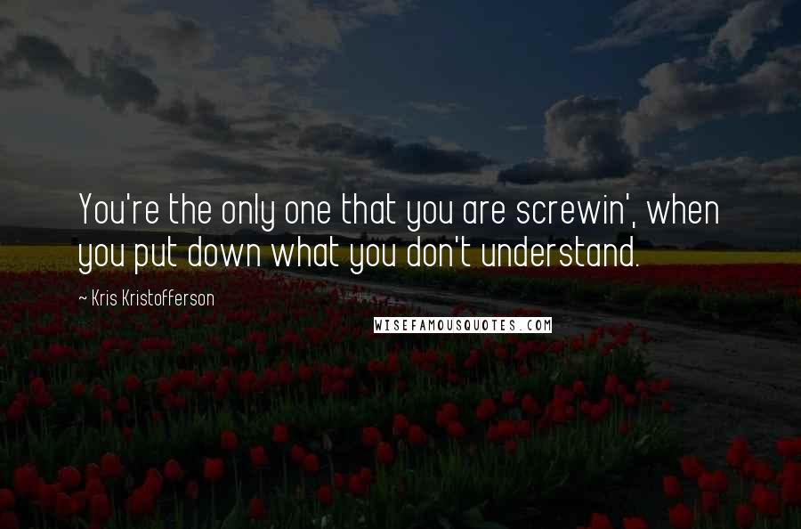 Kris Kristofferson Quotes: You're the only one that you are screwin', when you put down what you don't understand.
