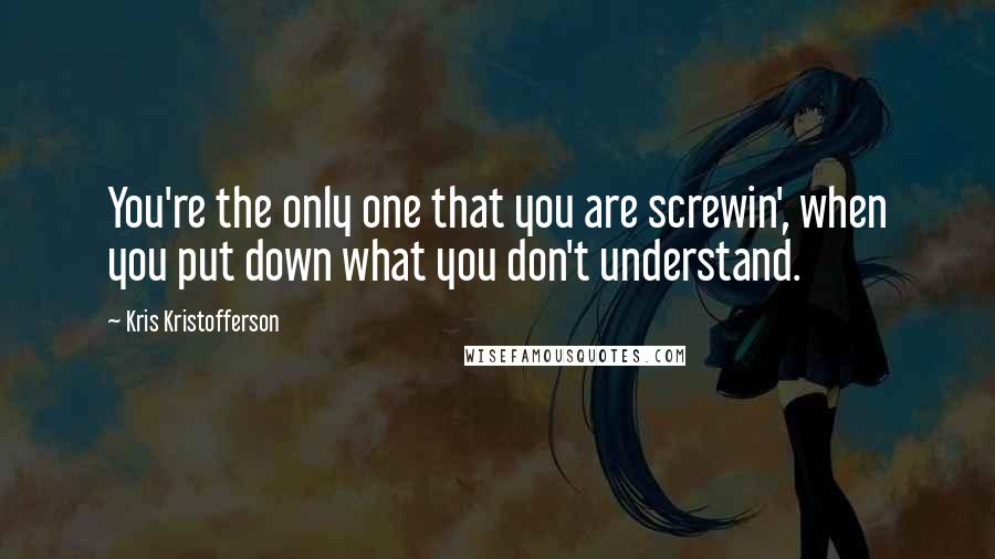 Kris Kristofferson Quotes: You're the only one that you are screwin', when you put down what you don't understand.