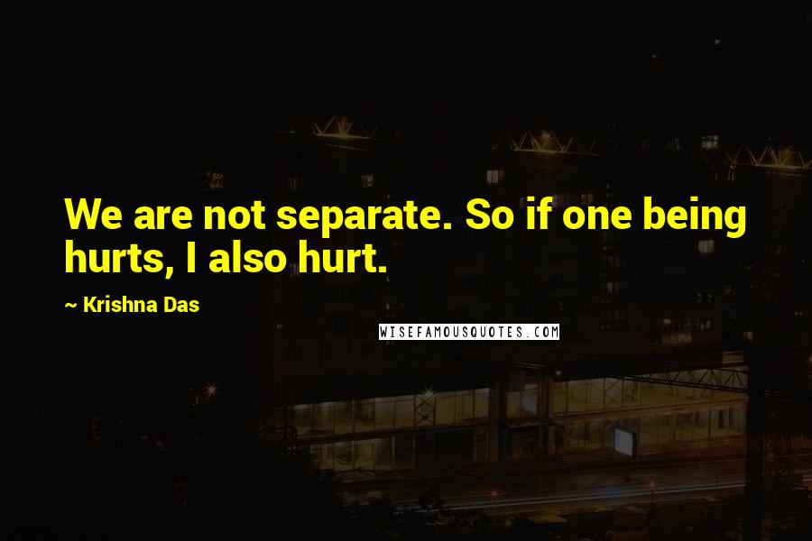 Krishna Das Quotes: We are not separate. So if one being hurts, I also hurt.