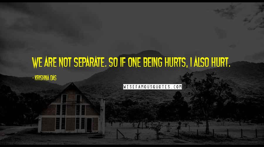Krishna Das Quotes: We are not separate. So if one being hurts, I also hurt.