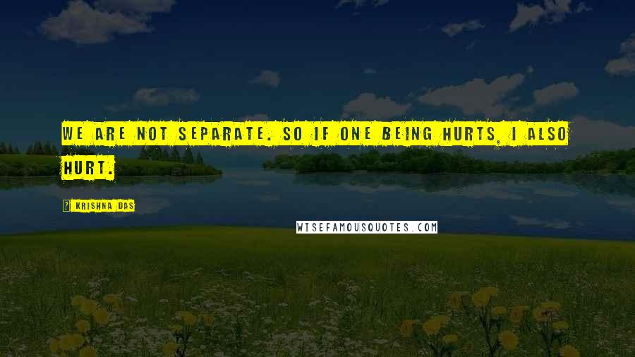 Krishna Das Quotes: We are not separate. So if one being hurts, I also hurt.