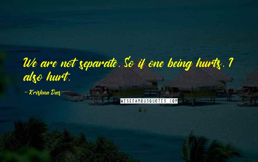 Krishna Das Quotes: We are not separate. So if one being hurts, I also hurt.