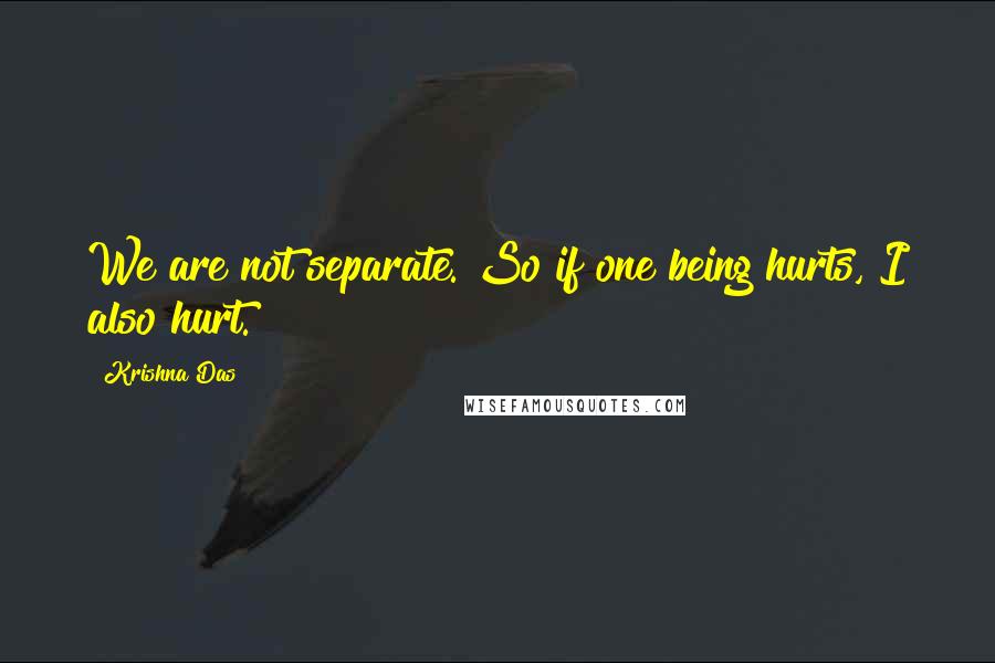 Krishna Das Quotes: We are not separate. So if one being hurts, I also hurt.