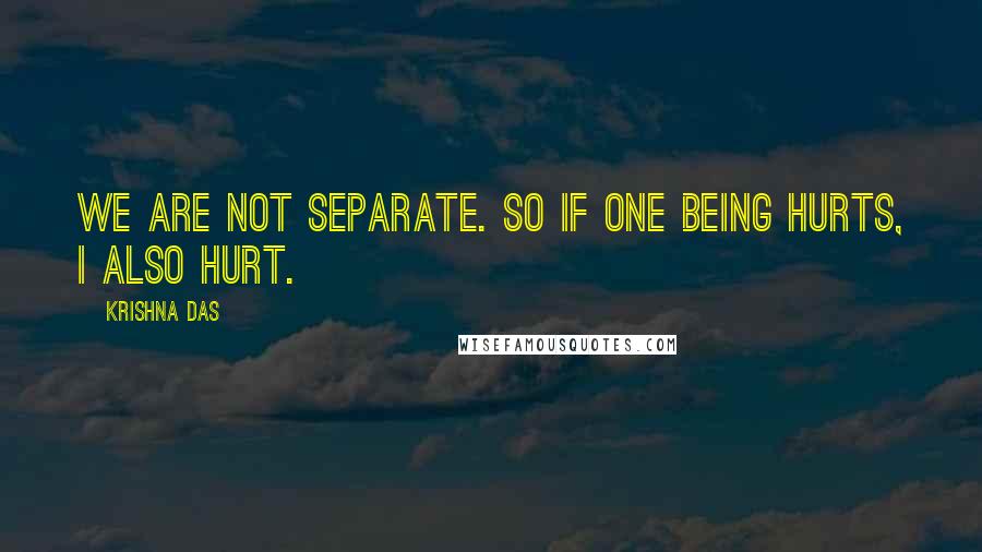 Krishna Das Quotes: We are not separate. So if one being hurts, I also hurt.
