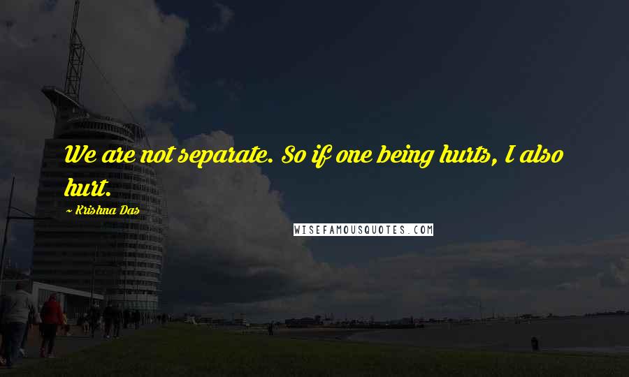 Krishna Das Quotes: We are not separate. So if one being hurts, I also hurt.