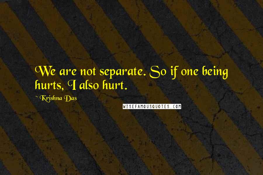 Krishna Das Quotes: We are not separate. So if one being hurts, I also hurt.