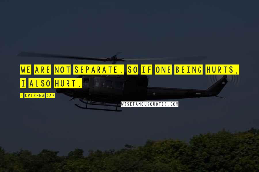 Krishna Das Quotes: We are not separate. So if one being hurts, I also hurt.