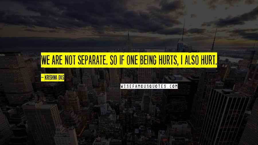Krishna Das Quotes: We are not separate. So if one being hurts, I also hurt.