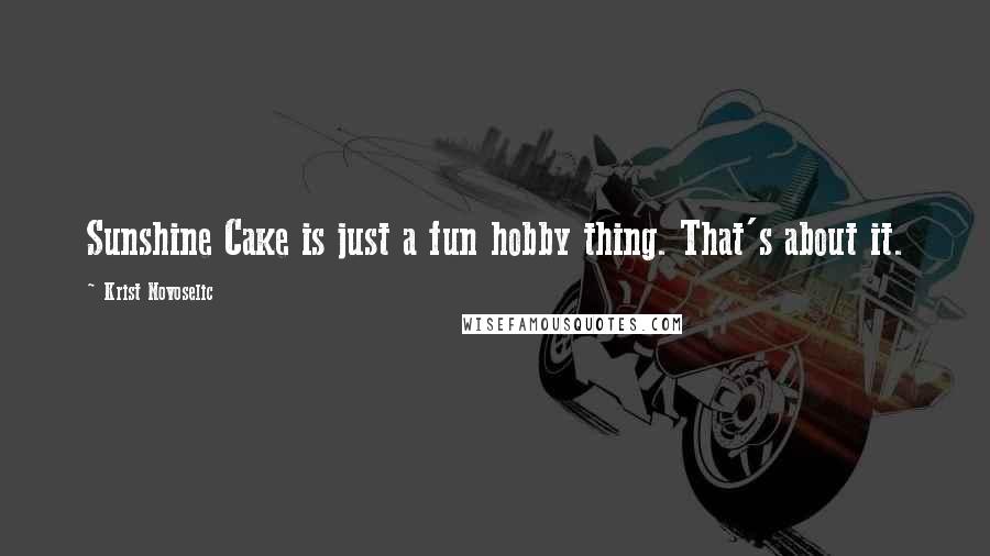 Krist Novoselic Quotes: Sunshine Cake is just a fun hobby thing. That's about it.