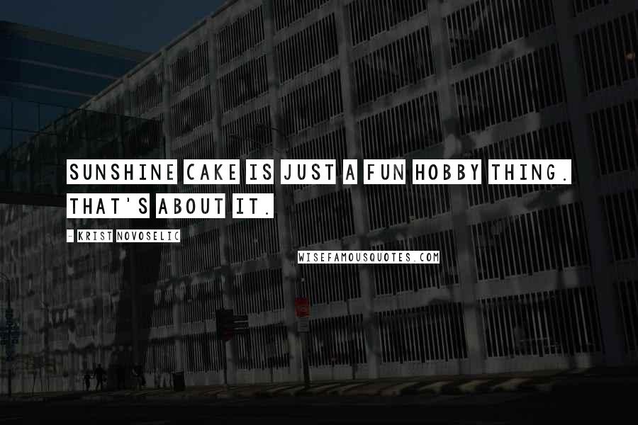 Krist Novoselic Quotes: Sunshine Cake is just a fun hobby thing. That's about it.