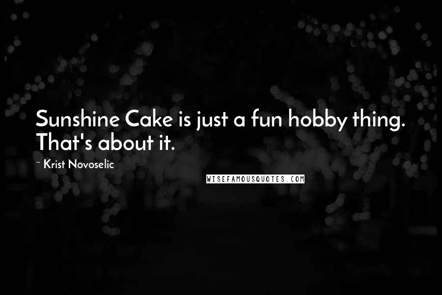 Krist Novoselic Quotes: Sunshine Cake is just a fun hobby thing. That's about it.