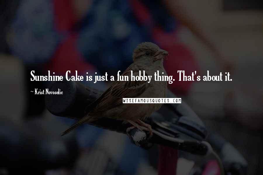 Krist Novoselic Quotes: Sunshine Cake is just a fun hobby thing. That's about it.