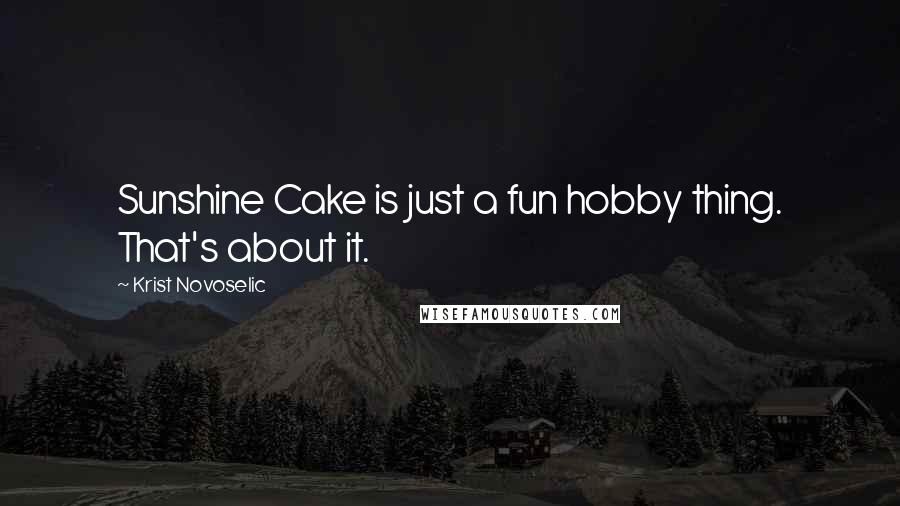 Krist Novoselic Quotes: Sunshine Cake is just a fun hobby thing. That's about it.