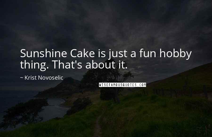 Krist Novoselic Quotes: Sunshine Cake is just a fun hobby thing. That's about it.