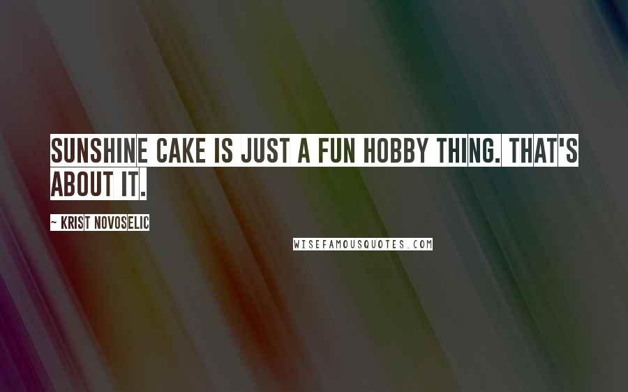 Krist Novoselic Quotes: Sunshine Cake is just a fun hobby thing. That's about it.