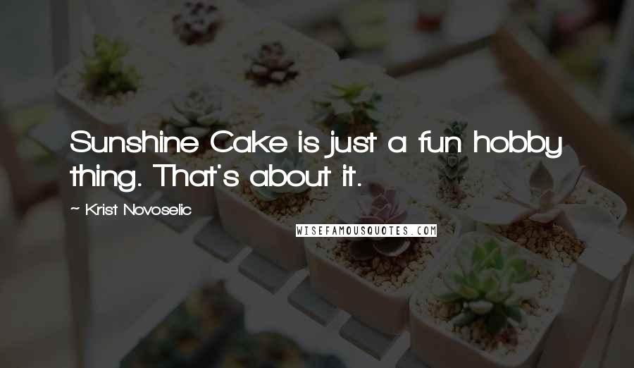 Krist Novoselic Quotes: Sunshine Cake is just a fun hobby thing. That's about it.