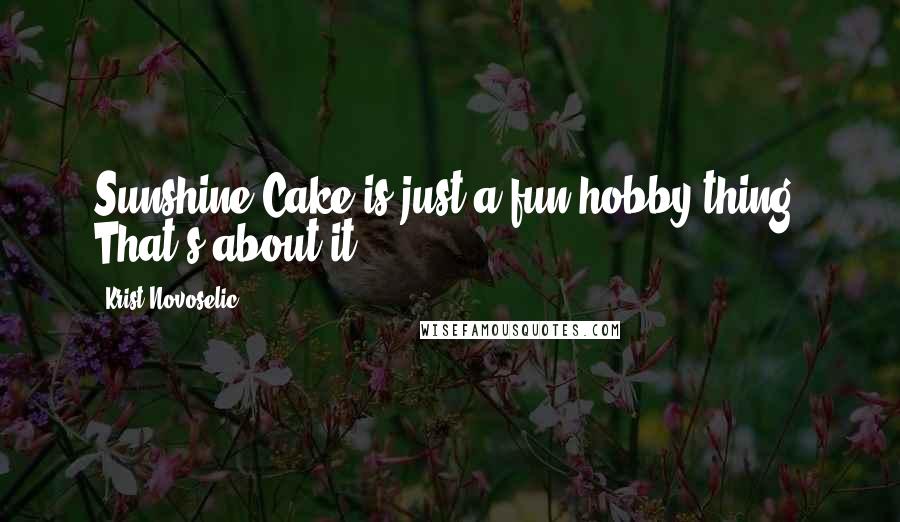 Krist Novoselic Quotes: Sunshine Cake is just a fun hobby thing. That's about it.