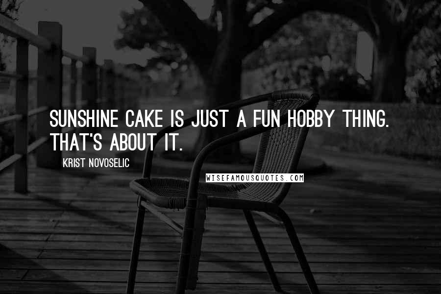 Krist Novoselic Quotes: Sunshine Cake is just a fun hobby thing. That's about it.