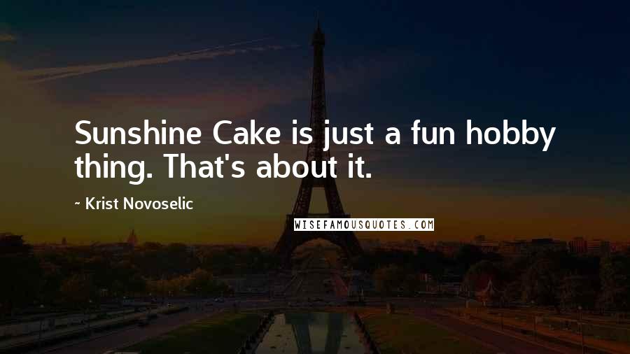 Krist Novoselic Quotes: Sunshine Cake is just a fun hobby thing. That's about it.