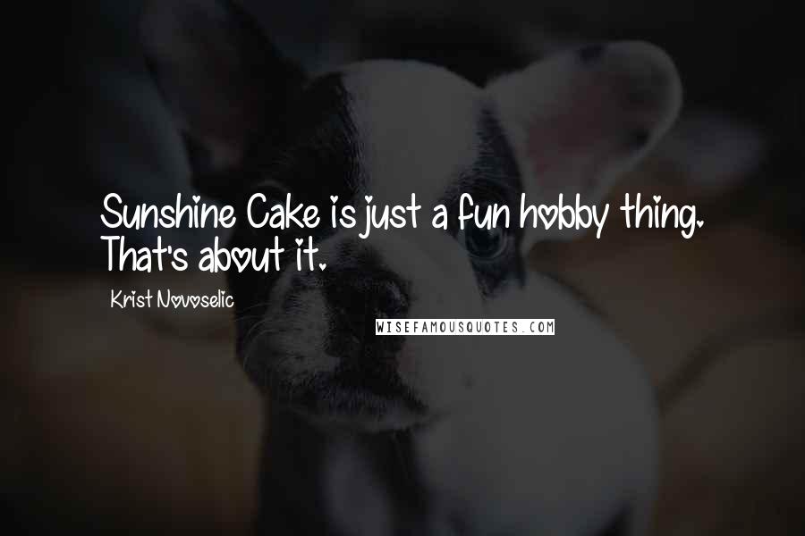 Krist Novoselic Quotes: Sunshine Cake is just a fun hobby thing. That's about it.
