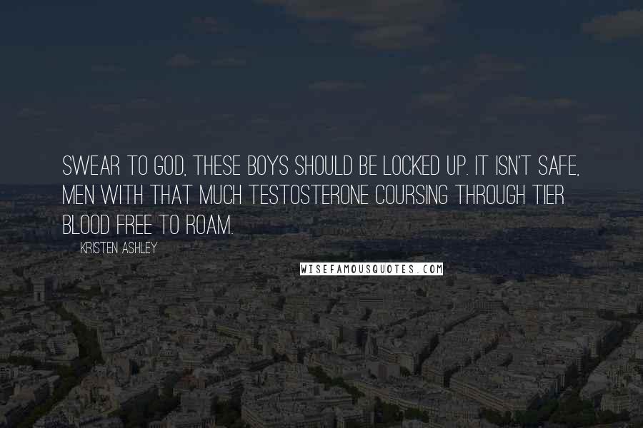 Kristen Ashley Quotes: Swear to God, these boys should be locked up. It isn't safe, men with that much testosterone coursing through tier blood free to roam.