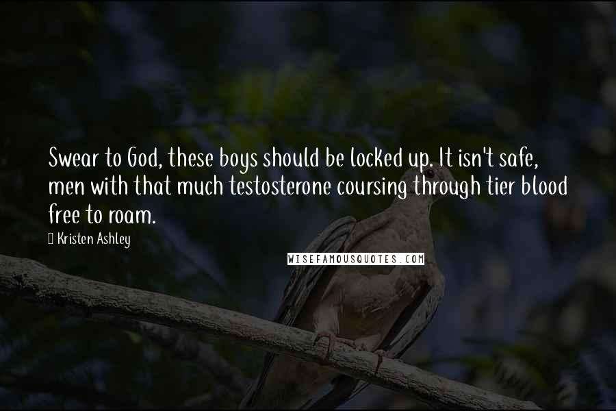 Kristen Ashley Quotes: Swear to God, these boys should be locked up. It isn't safe, men with that much testosterone coursing through tier blood free to roam.