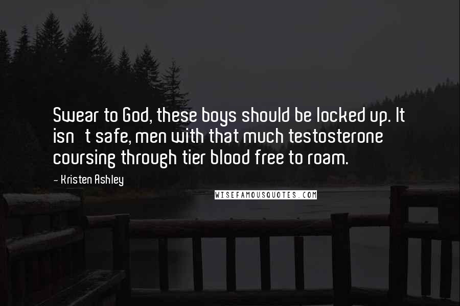 Kristen Ashley Quotes: Swear to God, these boys should be locked up. It isn't safe, men with that much testosterone coursing through tier blood free to roam.