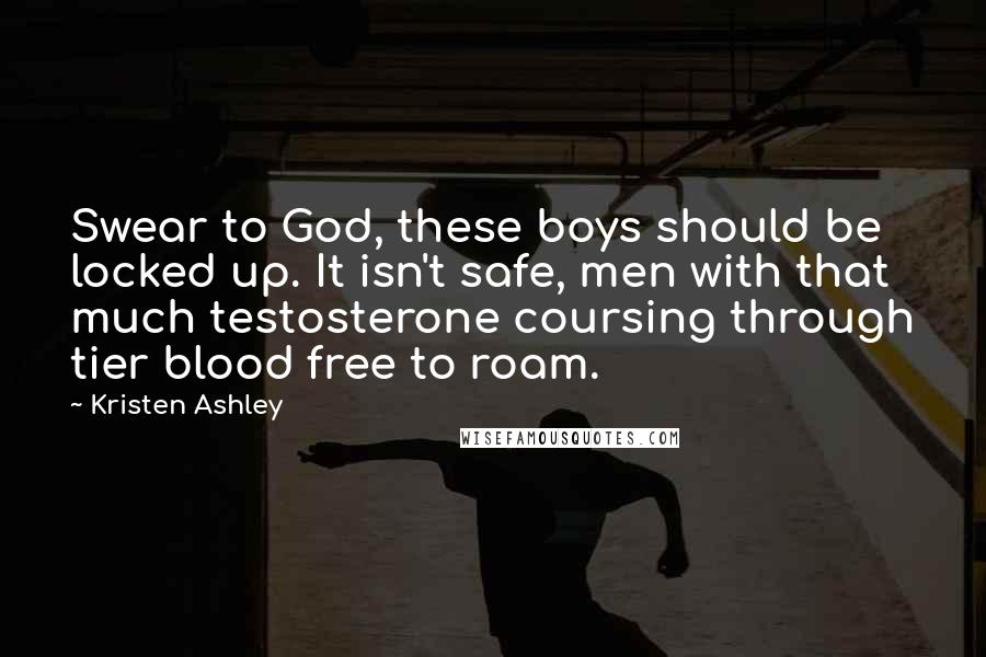 Kristen Ashley Quotes: Swear to God, these boys should be locked up. It isn't safe, men with that much testosterone coursing through tier blood free to roam.