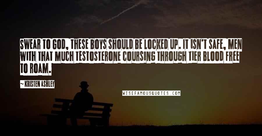 Kristen Ashley Quotes: Swear to God, these boys should be locked up. It isn't safe, men with that much testosterone coursing through tier blood free to roam.