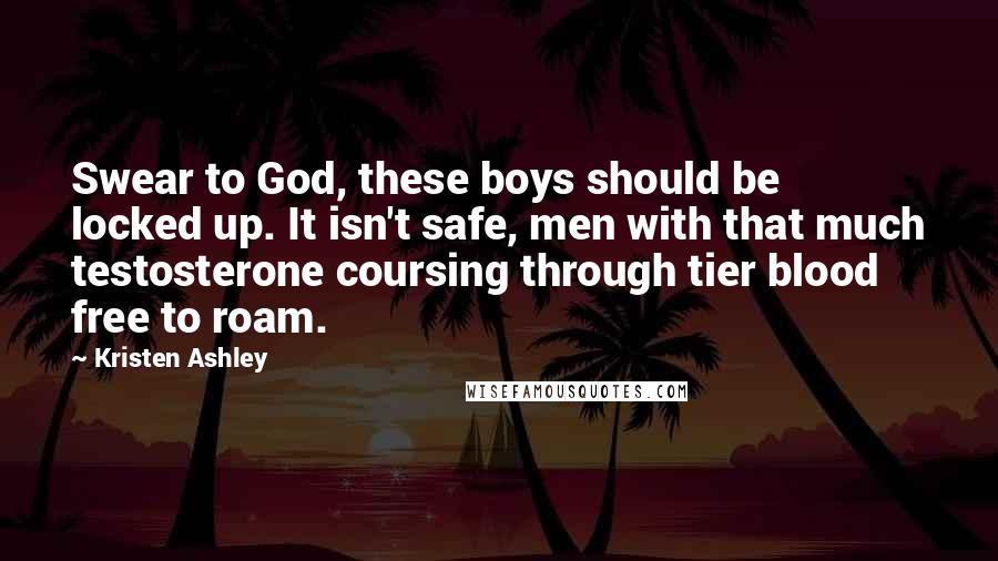 Kristen Ashley Quotes: Swear to God, these boys should be locked up. It isn't safe, men with that much testosterone coursing through tier blood free to roam.