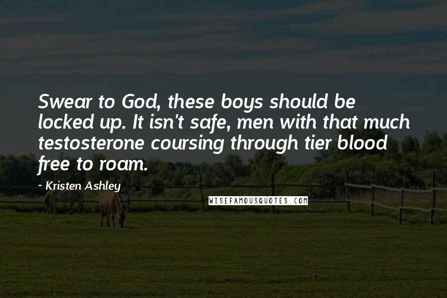 Kristen Ashley Quotes: Swear to God, these boys should be locked up. It isn't safe, men with that much testosterone coursing through tier blood free to roam.