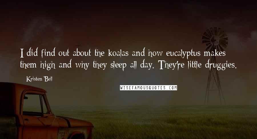 Kristen Bell Quotes: I did find out about the koalas and how eucalyptus makes them high and why they sleep all day. They're little druggies.