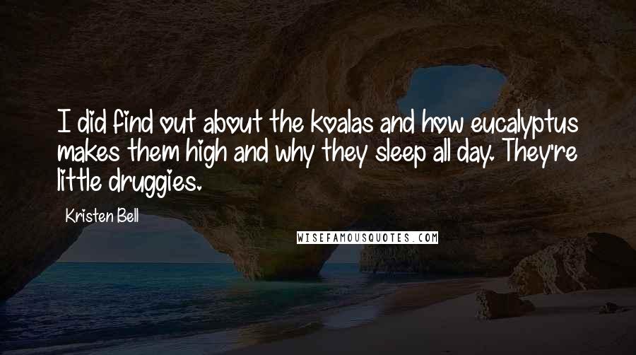 Kristen Bell Quotes: I did find out about the koalas and how eucalyptus makes them high and why they sleep all day. They're little druggies.