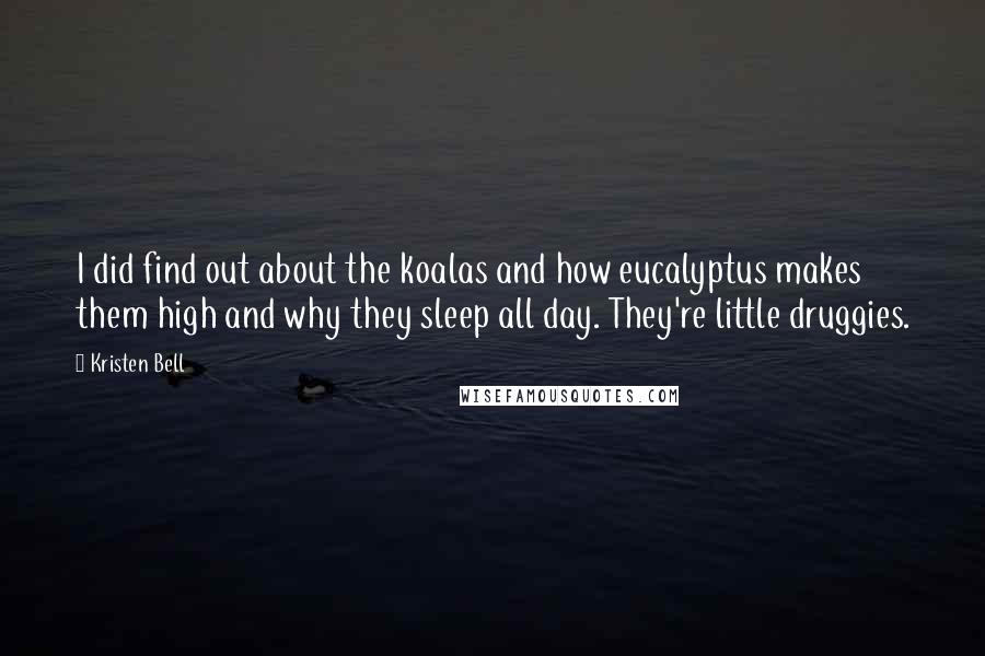 Kristen Bell Quotes: I did find out about the koalas and how eucalyptus makes them high and why they sleep all day. They're little druggies.