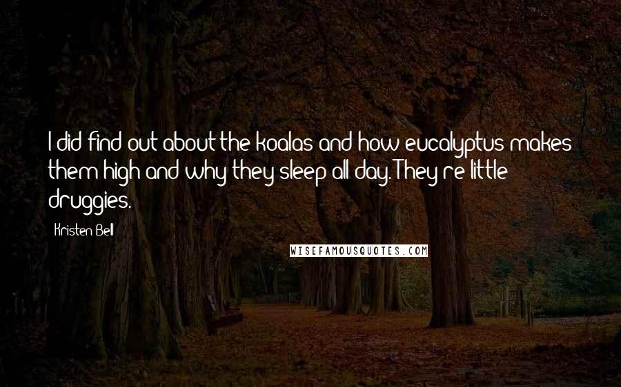 Kristen Bell Quotes: I did find out about the koalas and how eucalyptus makes them high and why they sleep all day. They're little druggies.
