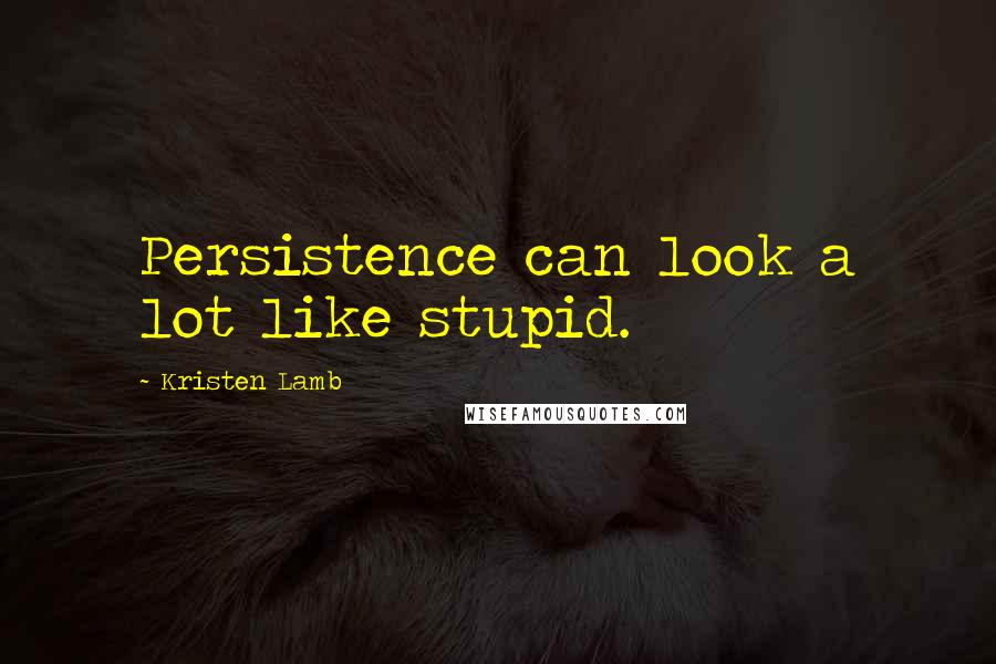 Kristen Lamb Quotes: Persistence can look a lot like stupid.