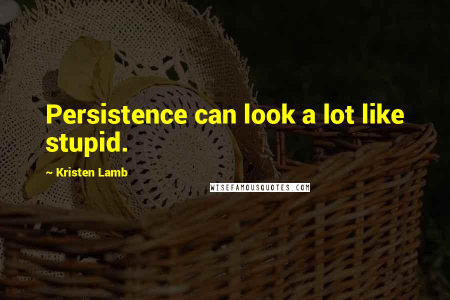 Kristen Lamb Quotes: Persistence can look a lot like stupid.