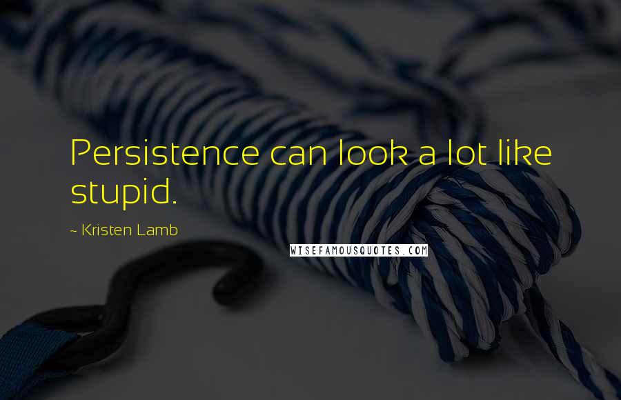 Kristen Lamb Quotes: Persistence can look a lot like stupid.