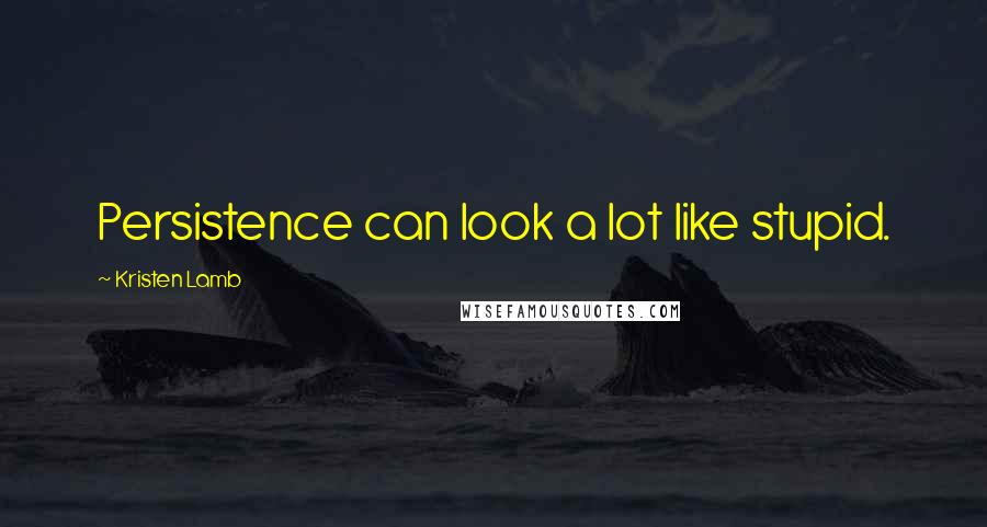 Kristen Lamb Quotes: Persistence can look a lot like stupid.