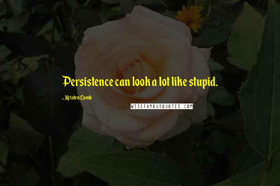 Kristen Lamb Quotes: Persistence can look a lot like stupid.