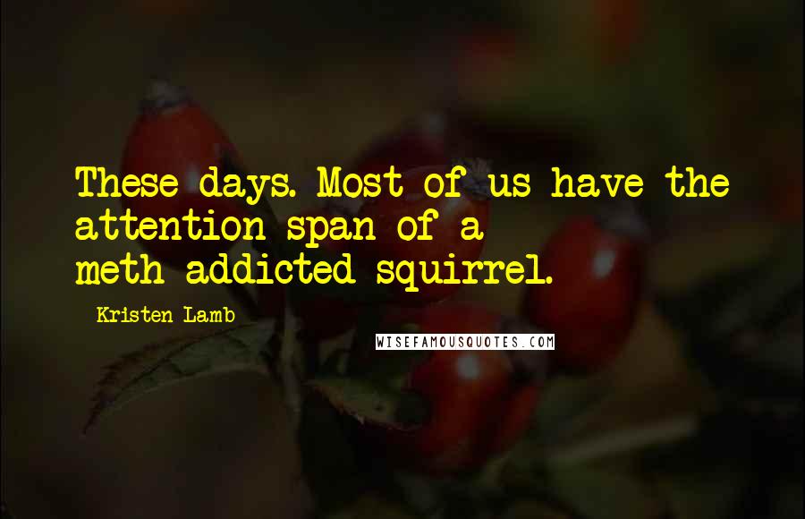 Kristen Lamb Quotes: These days. Most of us have the attention span of a meth-addicted squirrel.