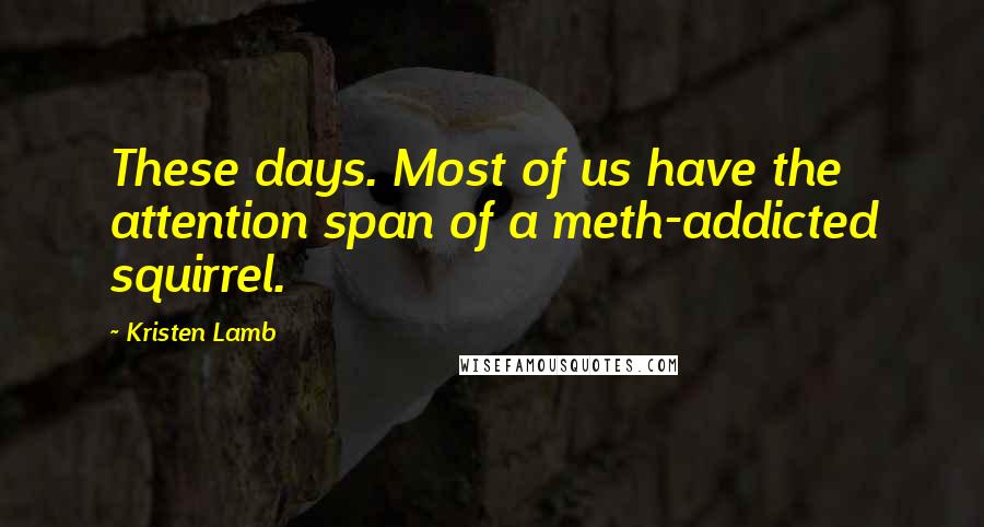Kristen Lamb Quotes: These days. Most of us have the attention span of a meth-addicted squirrel.