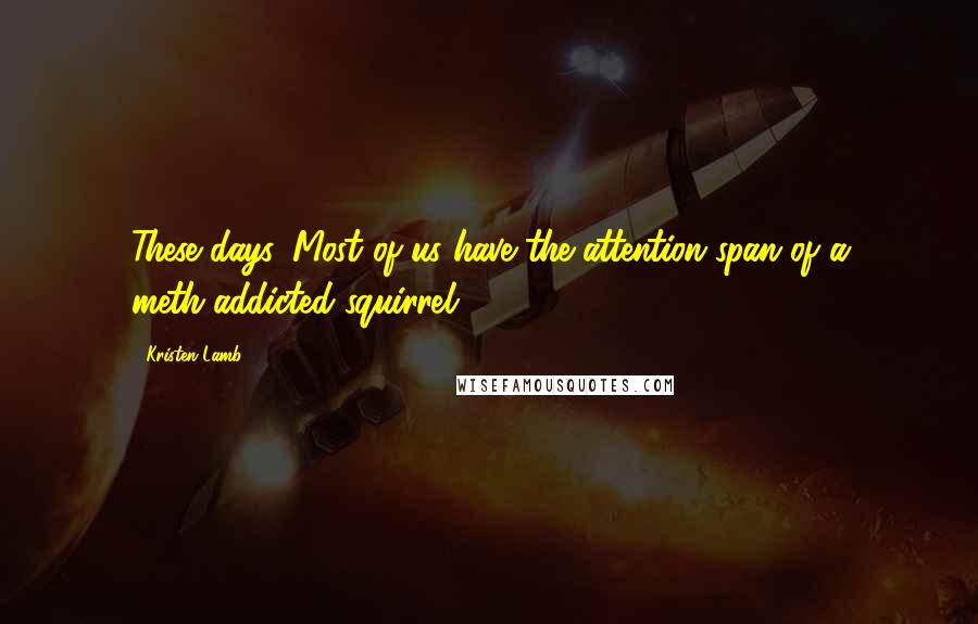 Kristen Lamb Quotes: These days. Most of us have the attention span of a meth-addicted squirrel.