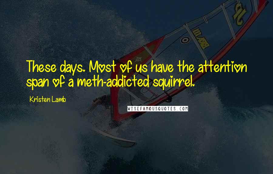 Kristen Lamb Quotes: These days. Most of us have the attention span of a meth-addicted squirrel.