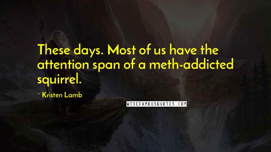 Kristen Lamb Quotes: These days. Most of us have the attention span of a meth-addicted squirrel.