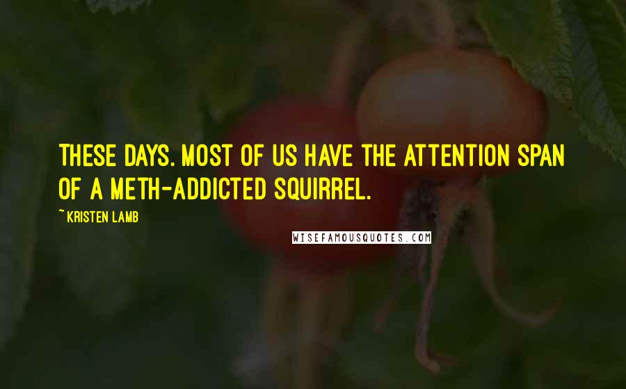 Kristen Lamb Quotes: These days. Most of us have the attention span of a meth-addicted squirrel.