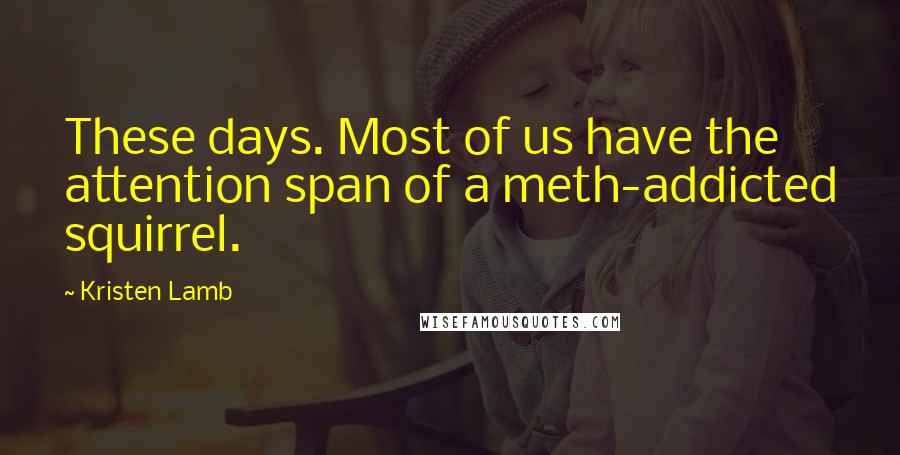 Kristen Lamb Quotes: These days. Most of us have the attention span of a meth-addicted squirrel.