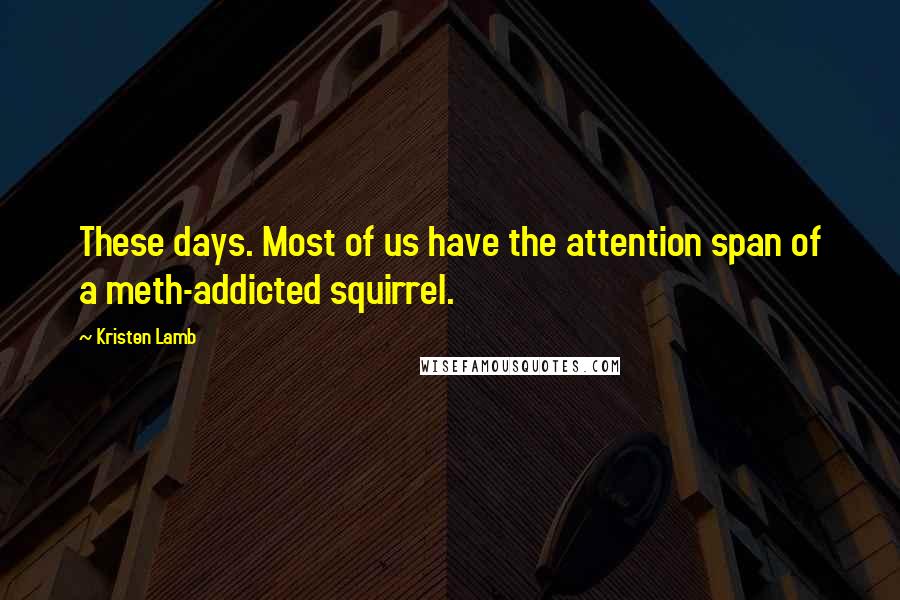 Kristen Lamb Quotes: These days. Most of us have the attention span of a meth-addicted squirrel.