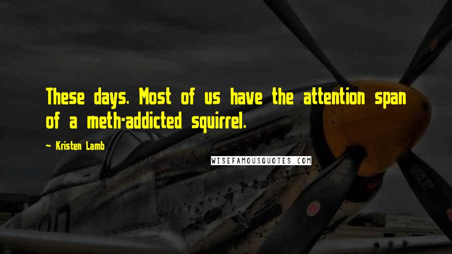 Kristen Lamb Quotes: These days. Most of us have the attention span of a meth-addicted squirrel.